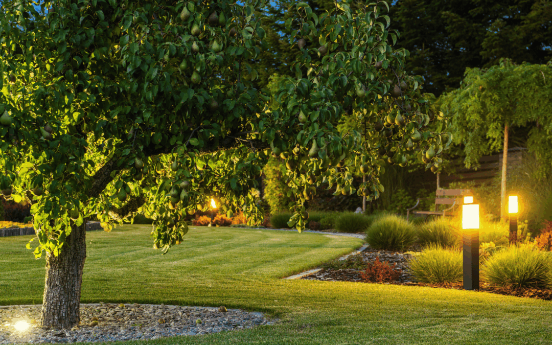 Installing Outdoor Power in Fig Tree Pocket: What’s Involved?