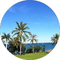 Daniel Rothenberg Avatar