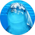 Beth Micklethwaite Avatar